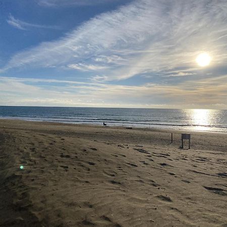 Appartamento Vista Mare A Marina Di Ardea L'Americano Ngoại thất bức ảnh